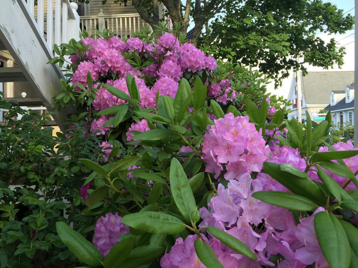 Watership Inn Provincetown Ngoại thất bức ảnh
